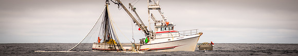 2021_Alaskan_Vaca_2031