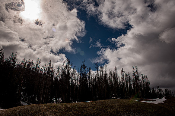 2019_Alaska_Trip_Day03_3506