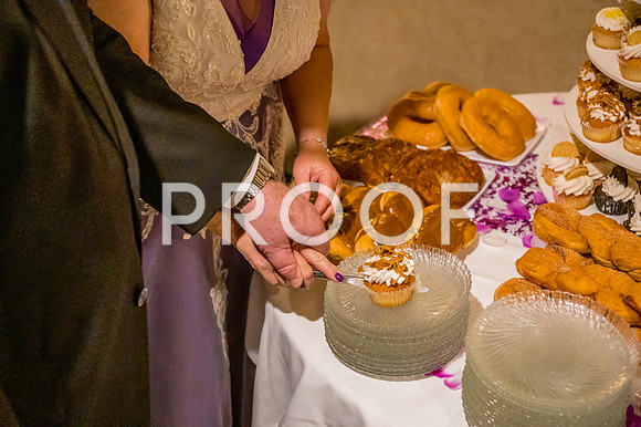 2024-Kussman-Wedding-184525-3878