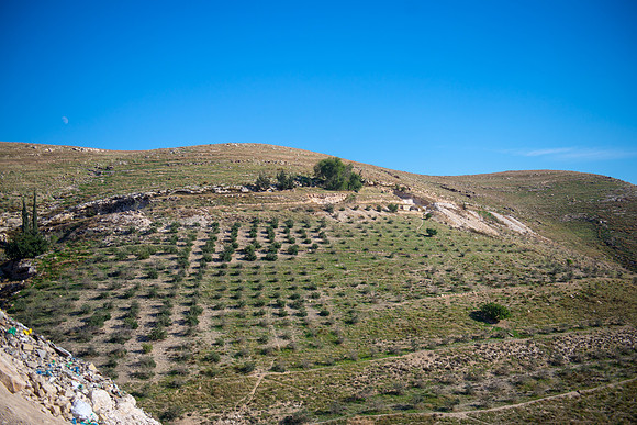 0804_2015_Israel_Trip_4430