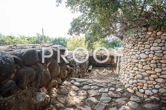 2018_Israel_Trip_04_03-7290