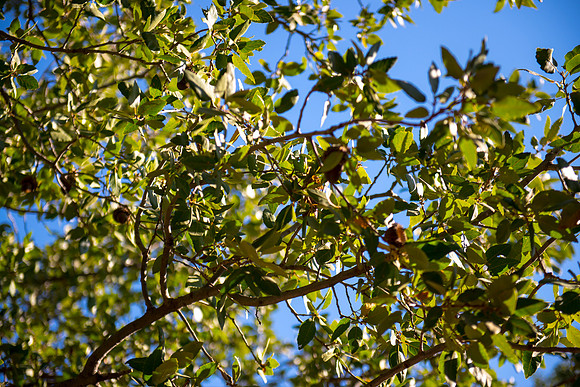 0688_2015_Israel_Trip_4314