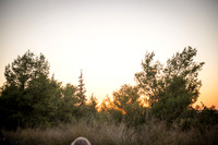 1912_2015_Israel_Trip_5592