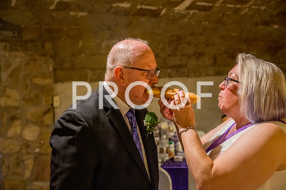 2024-Kussman-Wedding-184658-3954
