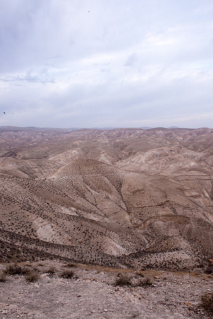 1028_2015_Israel_Trip_4658