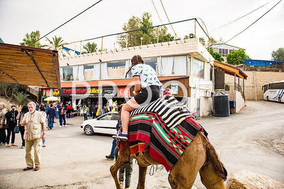 2018_Israel_Trip_05_02-7417
