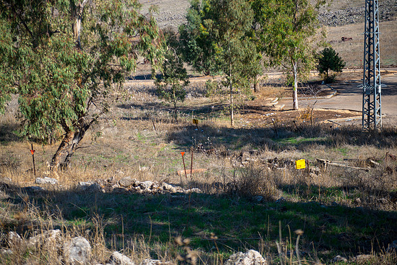 0746_2015_Israel_Trip_4372