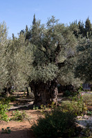 1240_2015_Israel_Trip_4870