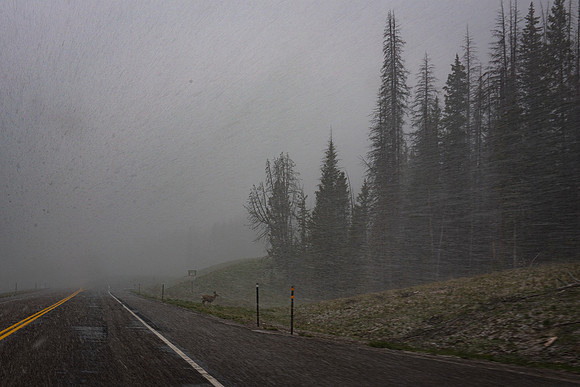 2019_Alaska_Trip_Day03_3530