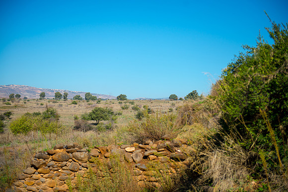 0723_2015_Israel_Trip_4349