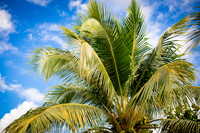 0173_2014_Family_Cruise_Grand_Turk_6652