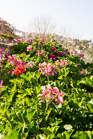 1415_2015_Israel_Trip_5085