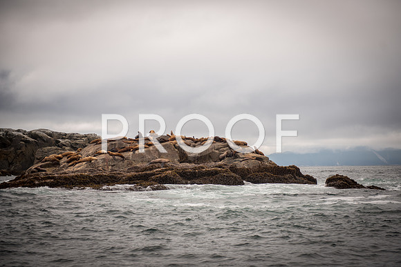 Fishing_750_9484