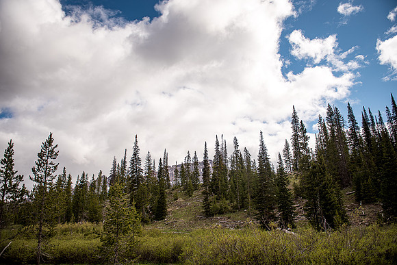 2019_Alaska_Trip_Day03_3461