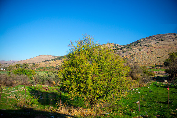 0598_2015_Israel_Trip_4223