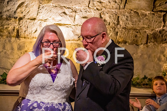 2024-Kussman-Wedding-190838-4028