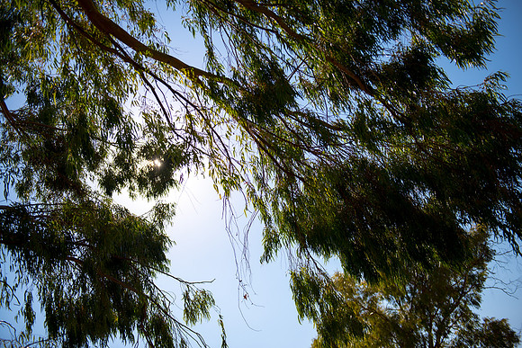 0752_2015_Israel_Trip_4378