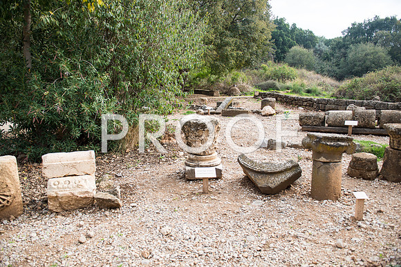 2018_Israel_Trip_04_04-7302