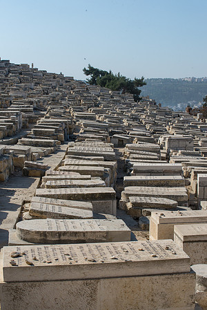 1218_2015_Israel_Trip_4848