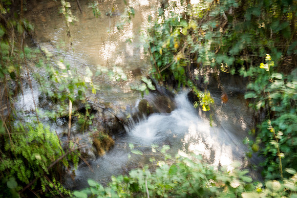 0679_2015_Israel_Trip_4305