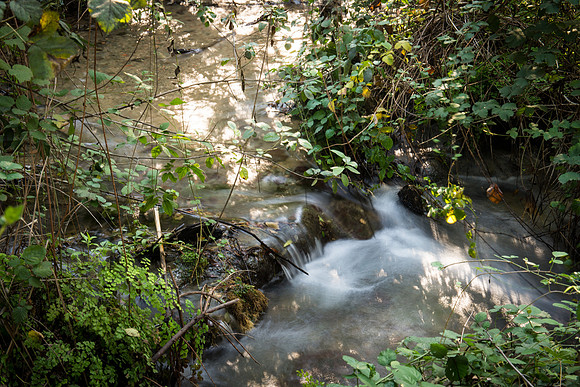 0680_2015_Israel_Trip_4306