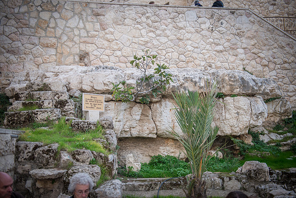 1766_2015_Israel_Trip_5437