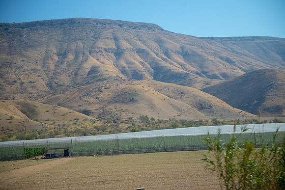0763_2015_Israel_Trip_4389