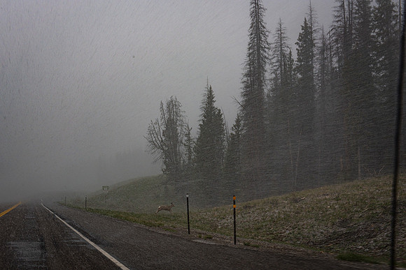 2019_Alaska_Trip_Day03_3532