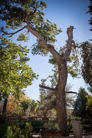 1888_2015_Israel_Trip_5559