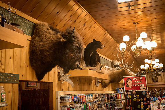2019_Alaska_Trip_Day02_2905