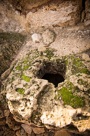 0070_2015_Israel_Trip_3557