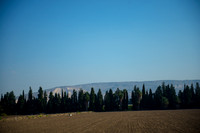 0764_2015_Israel_Trip_4390