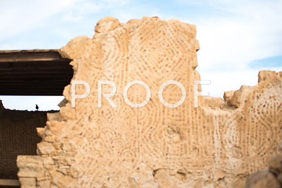 2018_Israel_Trip_06_01-7645