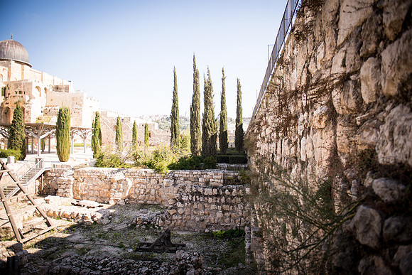 1528_2015_Israel_Trip_5198