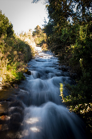 0677_2015_Israel_Trip_4303