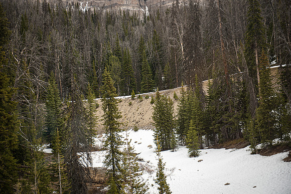 2019_Alaska_Trip_Day03_3486