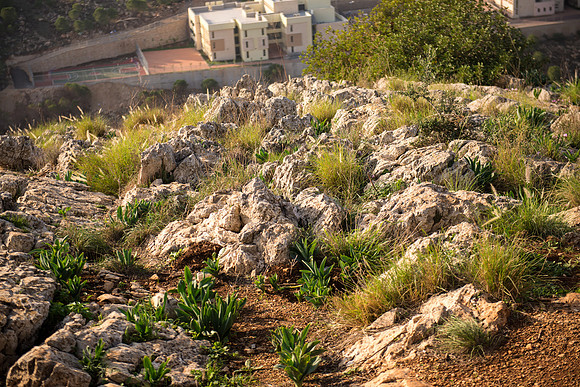 0266_2015_Israel_Trip_3754