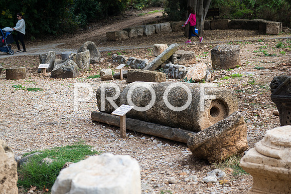 2018_Israel_Trip_04_04-7301