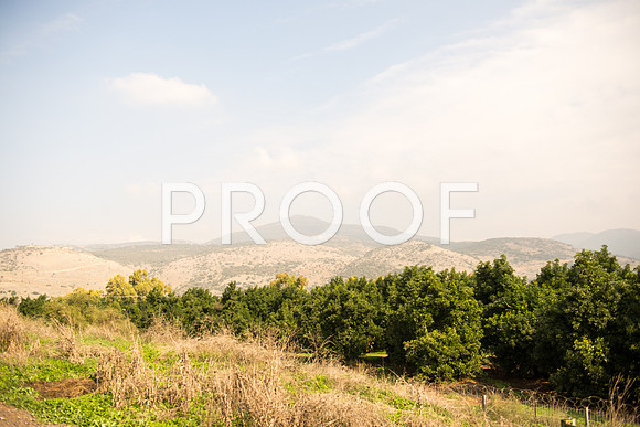 2018_Israel_Trip_04_03-7292