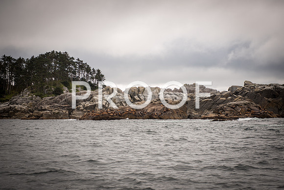 Fishing_750_9485