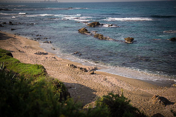0048_2015_Israel_Trip_3535