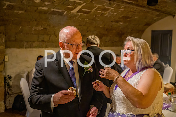 2024-Kussman-Wedding-184604-3914