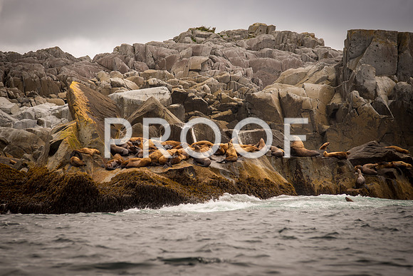Fishing_610_2096