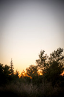 1913_2015_Israel_Trip_5593