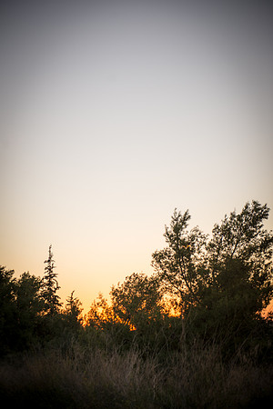1913_2015_Israel_Trip_5593
