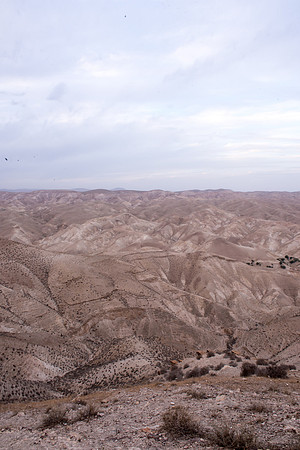 1029_2015_Israel_Trip_4659