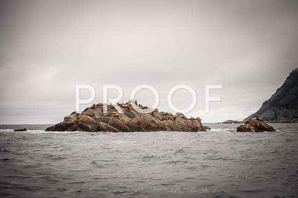 Fishing_750_9450