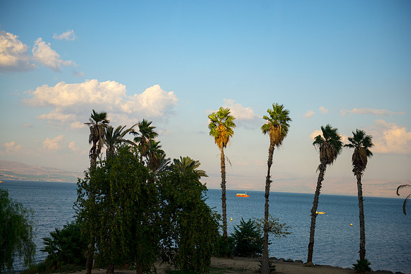 0589_2015_Israel_Trip_4079