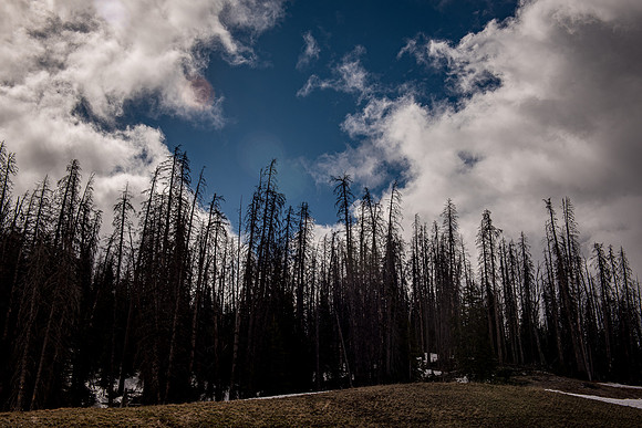 2019_Alaska_Trip_Day03_3507