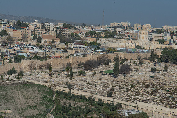 1175_2015_Israel_Trip_4805